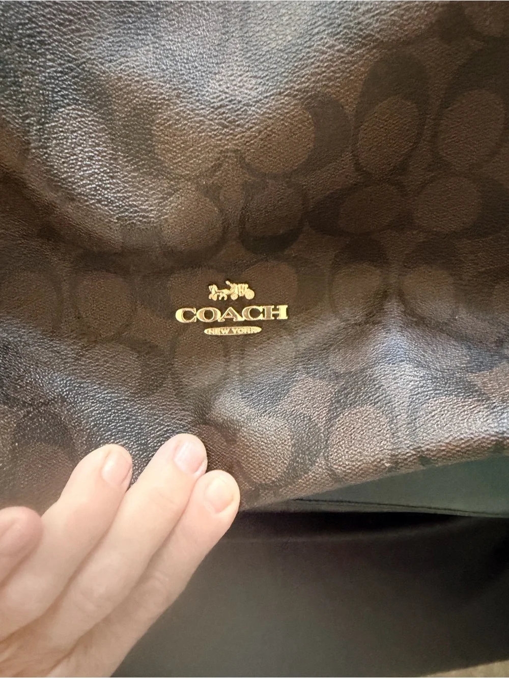 Coach Signature Hobo Bag